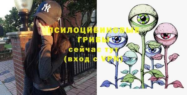 шишки Кинешма