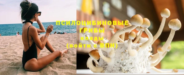 шишки Кинешма