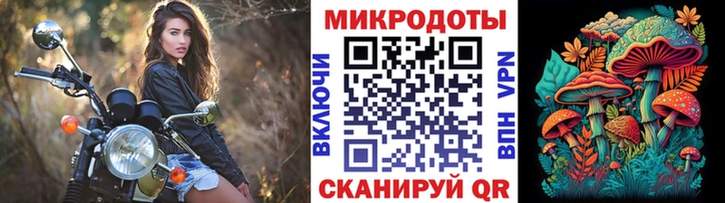 Псилоцибиновые грибы GOLDEN TEACHER  Купить закладки  Алейск 